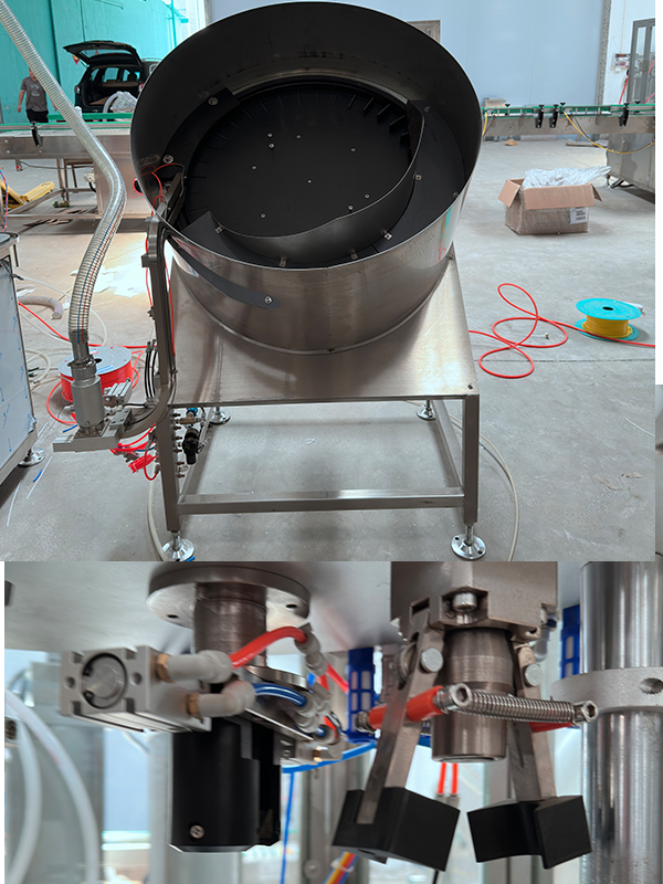 3. فالفور-نظام الإفصاح