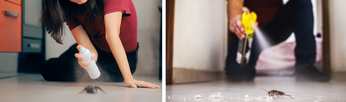 الهباء الجوي المبيدات الحشرية