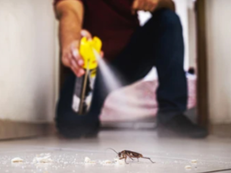 آلة إنتاج وتعبئة المبيدات الحشرية وحلولها